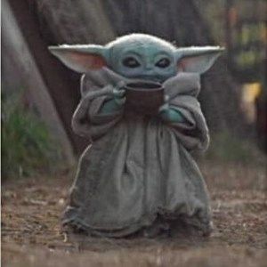 Meet your Posher, Ted